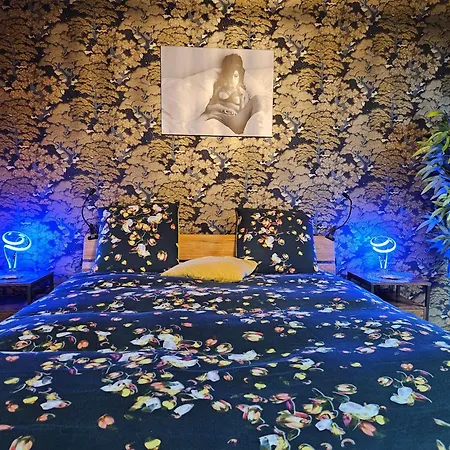 Maison d'hôtes L'alcove De Ide *